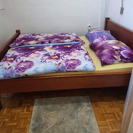 Terme Catez Apartma Nine Catez ob Savi Dış mekan fotoğraf