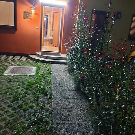 Terme Catez Apartma Nine Catez ob Savi Dış mekan fotoğraf
