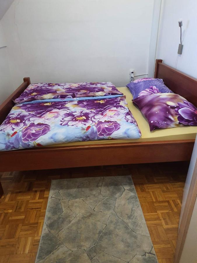 Terme Catez Apartma Nine Catez ob Savi Dış mekan fotoğraf