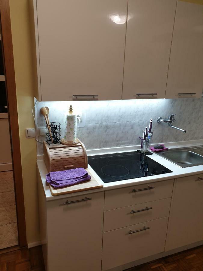 Terme Catez Apartma Nine Catez ob Savi Dış mekan fotoğraf