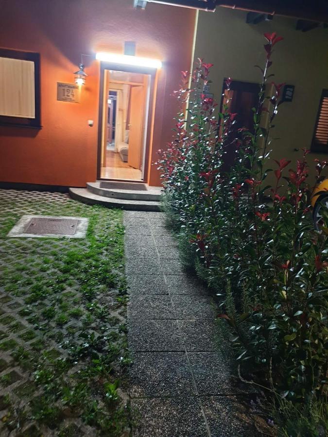 Terme Catez Apartma Nine Catez ob Savi Dış mekan fotoğraf