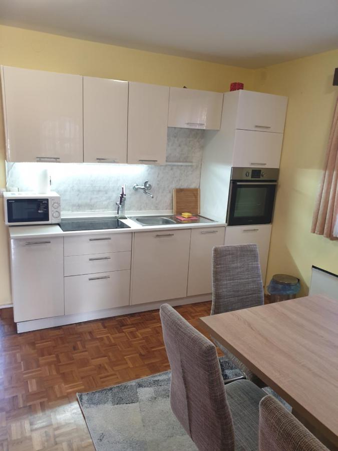 Terme Catez Apartma Nine Catez ob Savi Dış mekan fotoğraf