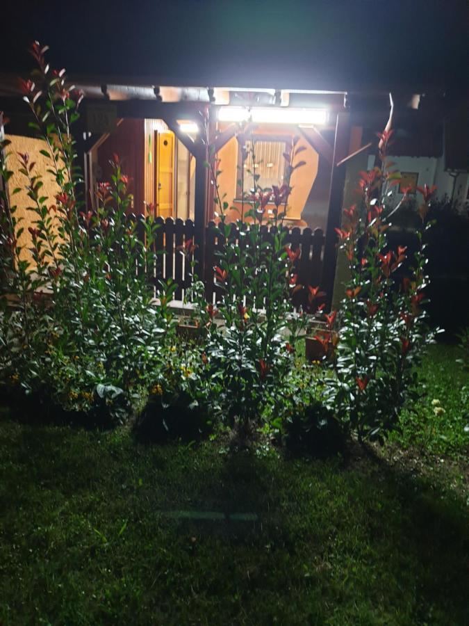 Terme Catez Apartma Nine Catez ob Savi Dış mekan fotoğraf